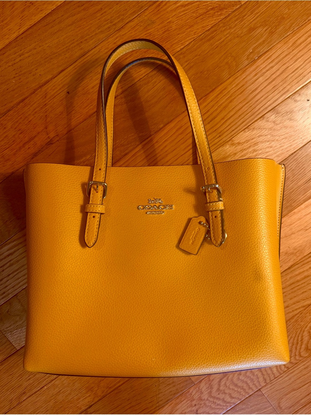 Coach Mollie Tote 25